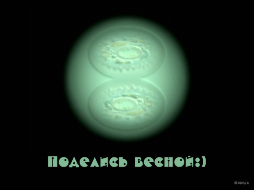 167198 (a): :1024x768